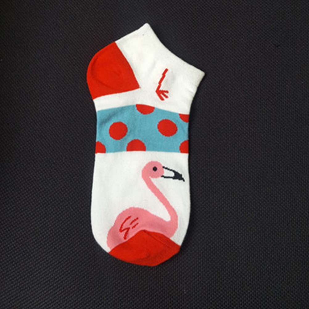 5Pcs Women Cotton Short Socks  - Invisibility Sock Loafer review and price